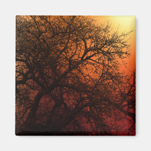 Aimant Arbre d'hiver Silhouette