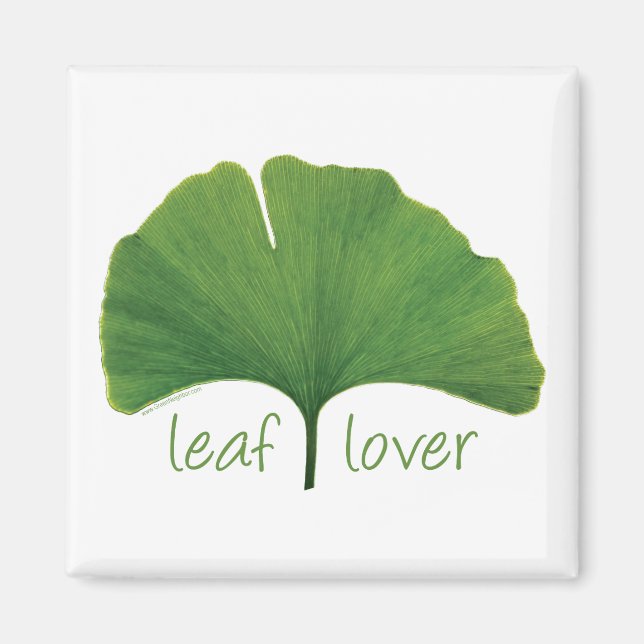 Aimant Arbre Hugger, amant de feuille - Ginkgo (Devant)