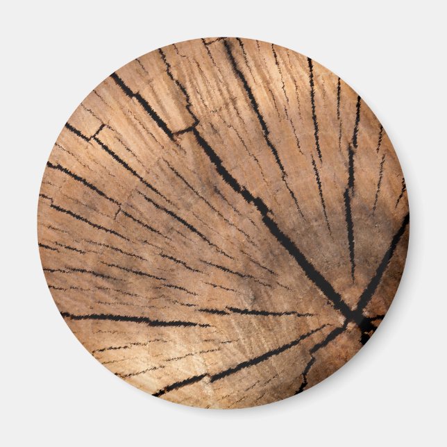 AIMANT ARBRE STUMP (Devant)