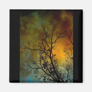 Aimant arbre un matin orageux