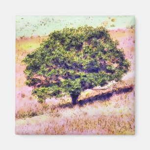 AIMANT ARBRES
