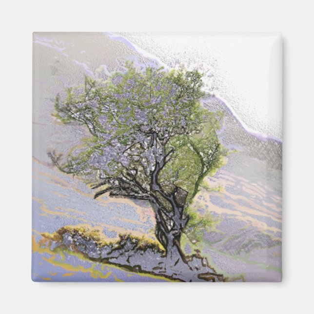 AIMANT ARBRES (Devant)