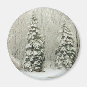Aimant arbres