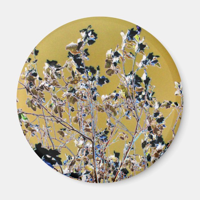 AIMANT ARBRES (Devant)