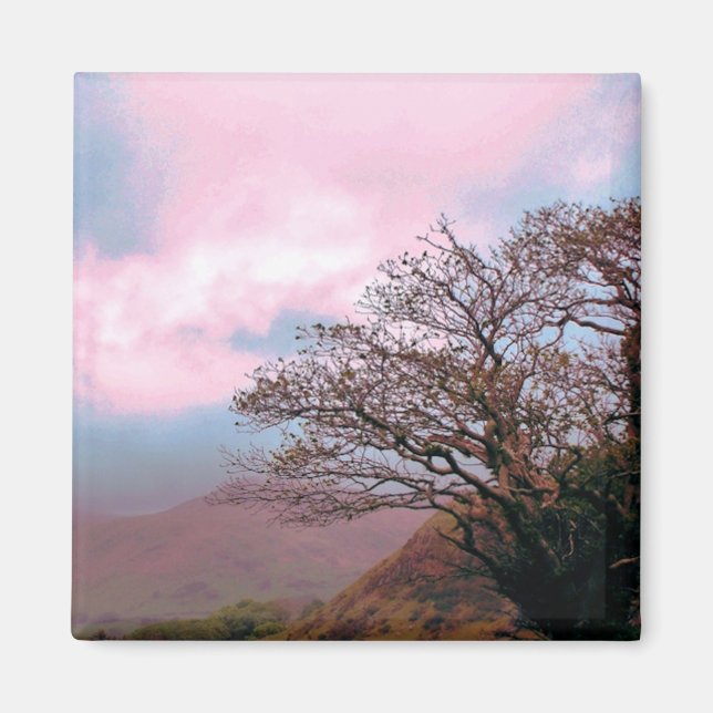 AIMANT ARBRES (Devant)