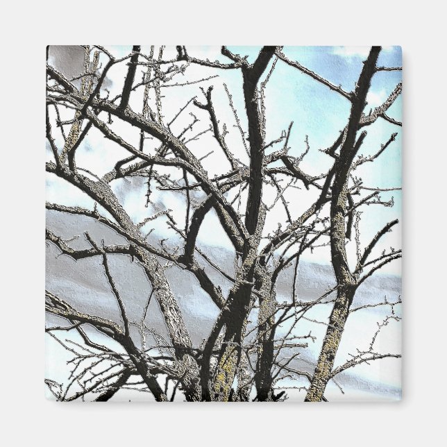 AIMANT ARBRES (Devant)