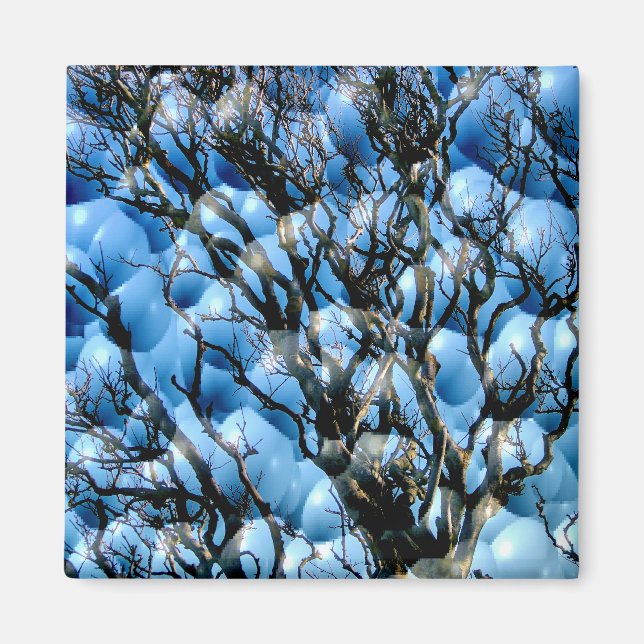 AIMANT ARBRES (Devant)