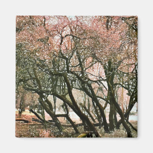 AIMANT ARBRES