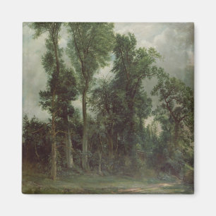 Aimant Arbres à Hampstead