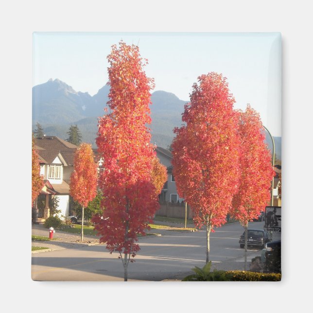 Aimant Arbres d'Orange en automne (Devant)