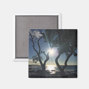 Aimant Arbres ensoleillés d'Hawaii bord de l'océan photog