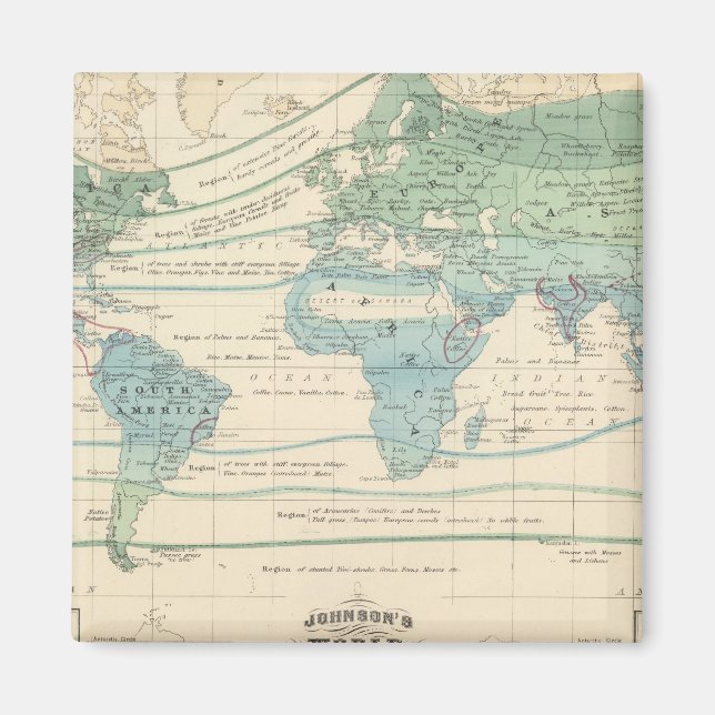 Aimant Arbres forestiers, Plantes utiles et minéraux (Devant)