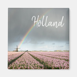 Aimant Arc-en-ciel sur les hyacinthes et un moulin à vent
