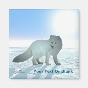Aimant Arctic Fox