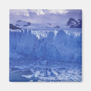 Aimant Argentine, Patagonie, Parque Nacional los