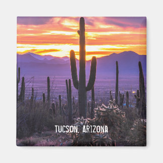Aimant Arizona Désert Cactus Coucher de soleil Nature Pho