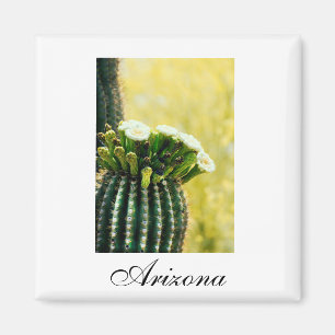 Aimant Arizona saguaro fleurit