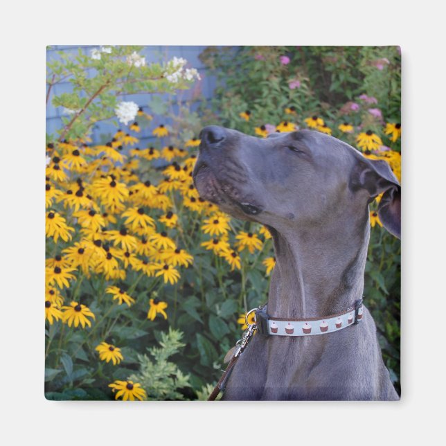 Aimant Arrêtez et sentez l'aimant Fleurs (Devant)