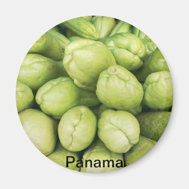 Aimant Arrière - plan de choko biologique Sechium edule (Devant)