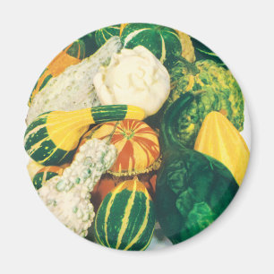 Aimant Art de pochette de graines vintage, courges gourde