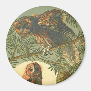 Aimant Art nouveau Anton Seder hibou brun vert jaune
