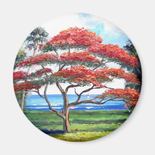 Aimant Art royal d'arbre de Poinciana