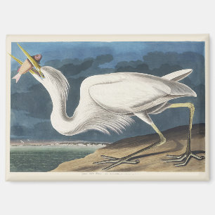 Aimant Art Vintage de l'Héron Blanc d'Audubon