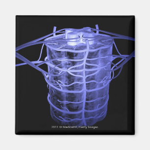 Aimant Artères entourant une partie de la colonne