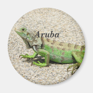 Aimant Aruba Green Iguana