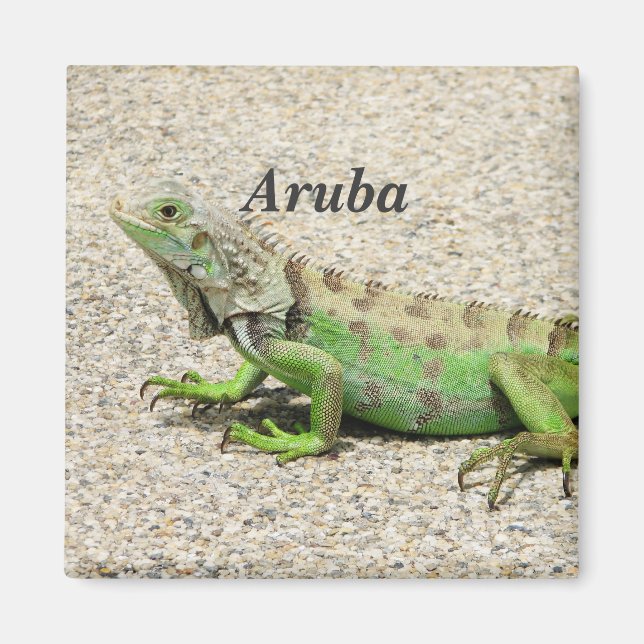 Aimant Aruba Green Iguana (Devant)