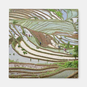 Aimant Asie, Chine, Yunnan, Jinping. Personnalité autoch