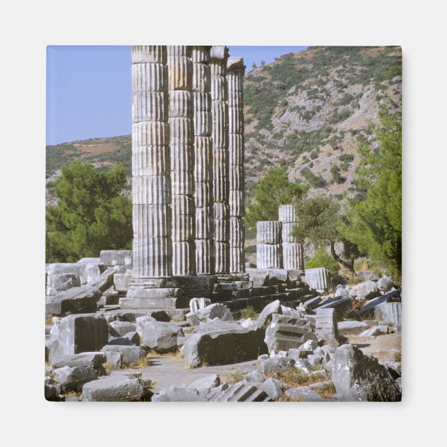 Aimant Asie, Moyen-Orient, Turquie, Ephèse. Temple de (Devant)