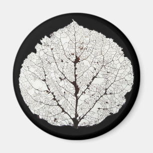 Aimant Aspen Feuille Squelette 1