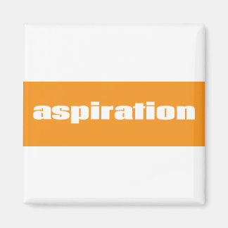 Aimant Aspiration
