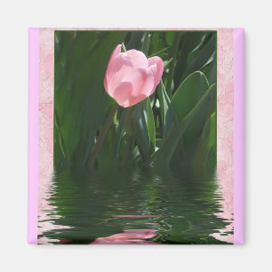 Aimant assez rose de tulipe