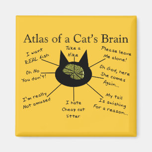 Aimant Atlas du cerveau d'un chat