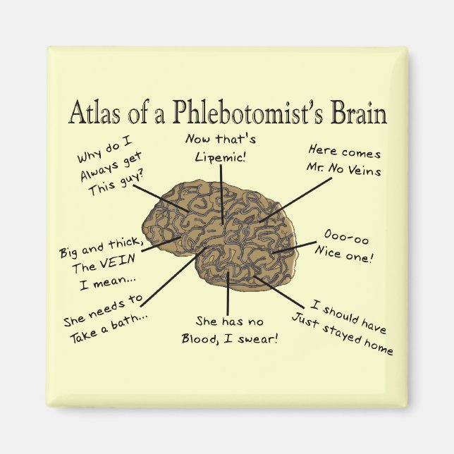 Aimant Atlas du cerveau d'un phlébotomiste (Devant)