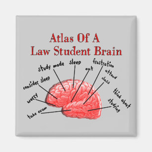 Aimant Atlas du cerveau étudiant en droit
