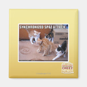 Aimant Attaque de Sychronized Spaz