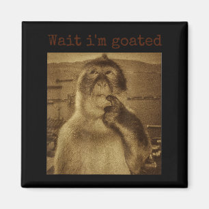 Aimant Attends Je Suis Divin Blague Singe Qui Pense Mème 