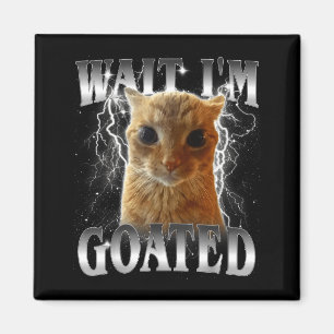 Aimant Attends je suis goaté mème drôle de chat qui fixe 