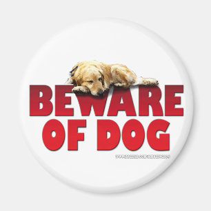 Aimant Attention au chien...