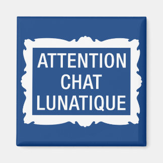 Aimant Attention Conversation Lunatique