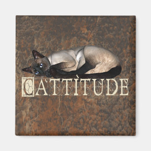 Aimant attitude