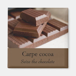 Aimant au chocolat