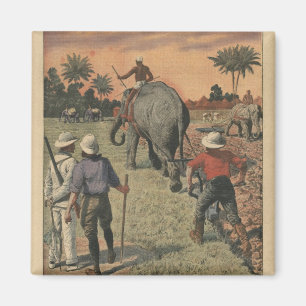 Aimant Au Congo français, l'éléphant s'est entraîné à lab