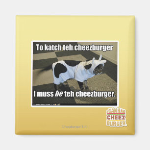 Aimant Au katch le cheezburger