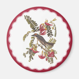 Aimant Audubon Grey Tyrant Oiseau Vintage Plaque d'Art