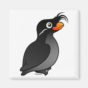 Aimant Auklet crêté