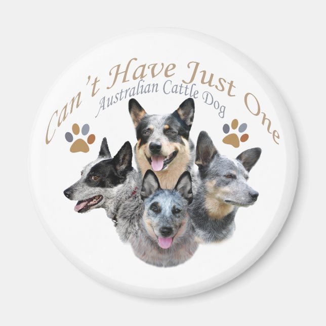 Aimant Australian Cattle Dog ne peut pas avoir seulement  (Devant)